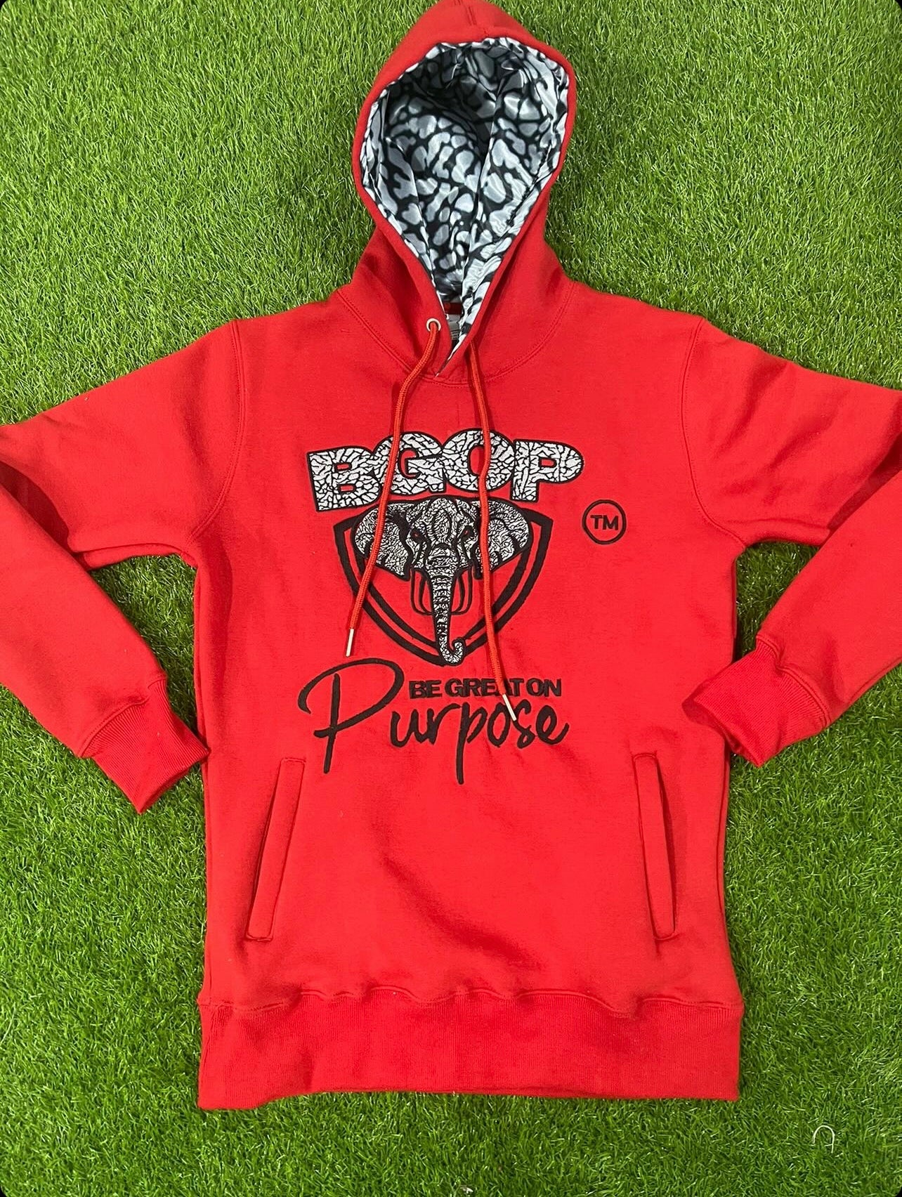 Be Great On Purpose Embroidered Hoodie
